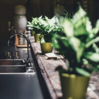 Greenery in the kitchen