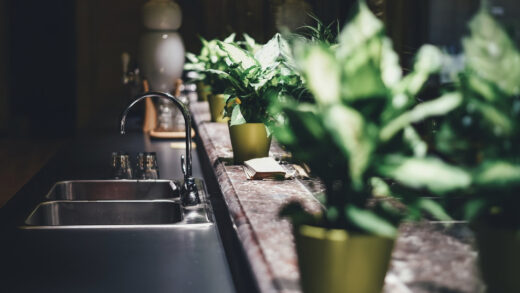 Greenery in the kitchen